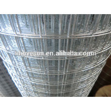 Tissu métallique galvanisé / Low price Mesh galvanisé / usine de treillis métallique galvanisé